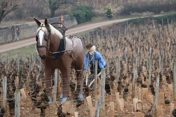 Une scène représente un viticulteur labourant la vigne avec un cheval