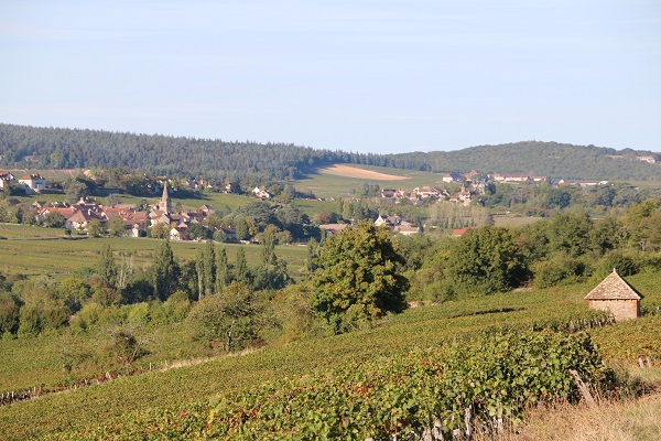 Vue depuis Saint-Denis-de-Vaux, au second plan Saint-Martin et Touches en arrière-plan