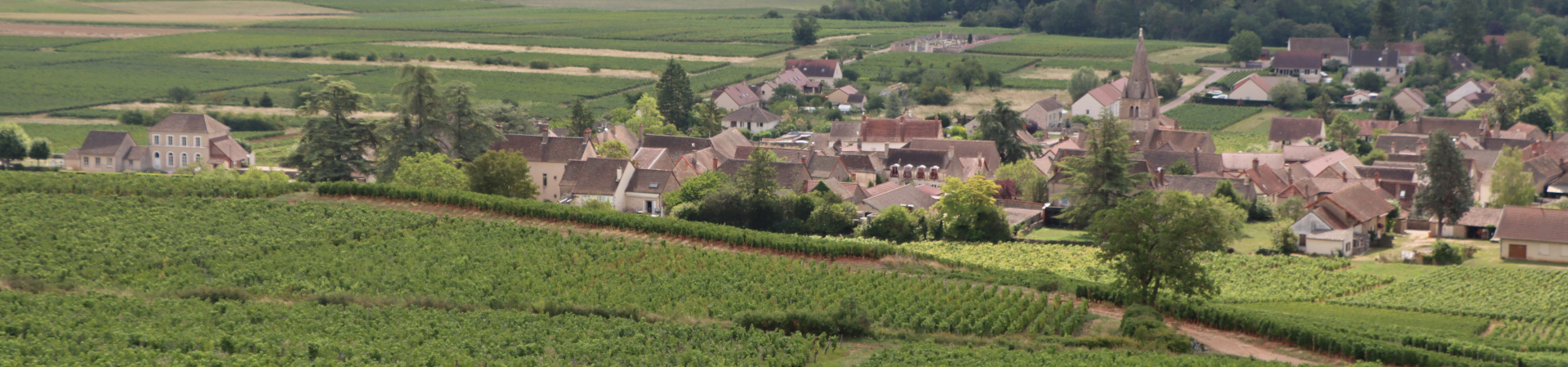 Banniere Saint-Martin-sous-Montaigu