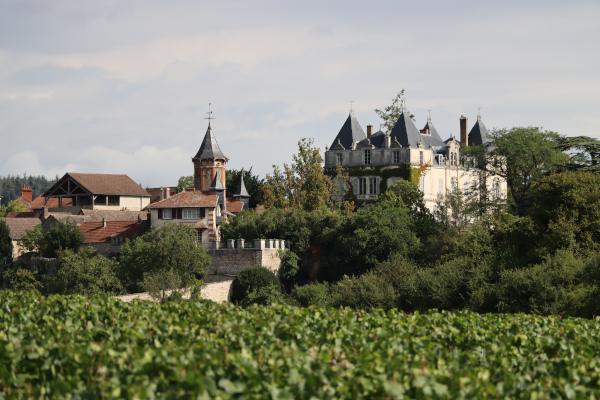 A proximité du village, le château de Chamirey 